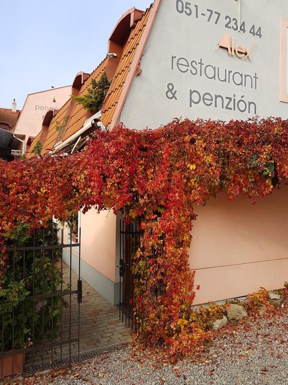 Alex Pension Prešov Exteriör bild